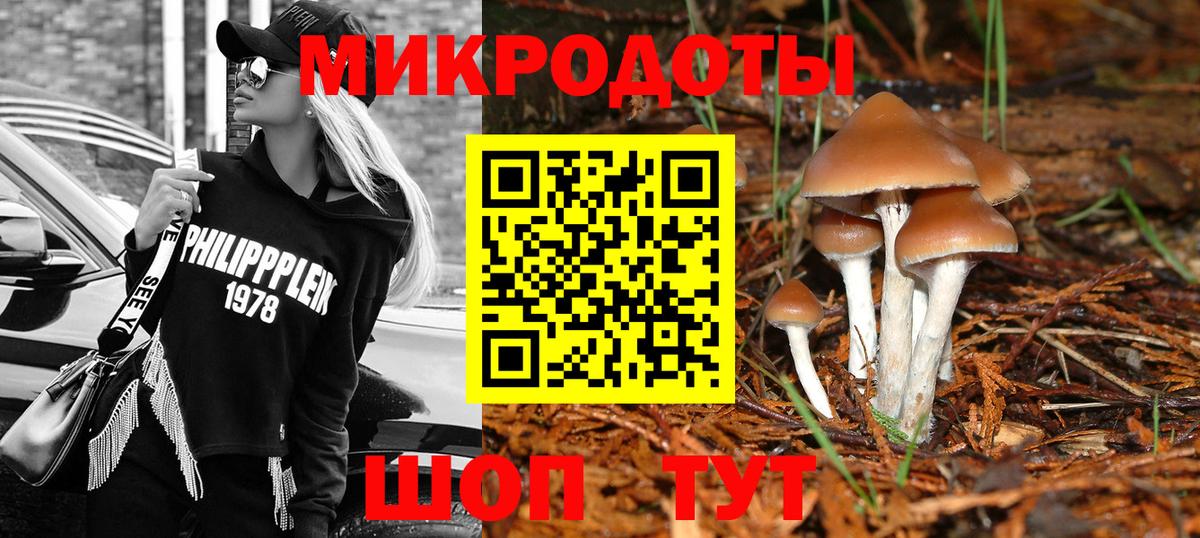 Галлюциногенные грибы Magic Shrooms  Псилоцибиновые грибы ЛСД  Вход с VPN  Биробиджан 